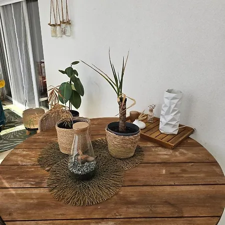 Cosy T2 Entre Terre Et Mer Apartamento Montpellier